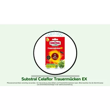 Substral%20Celaflor%20Trauerm%C3%BCckenEX.jpg