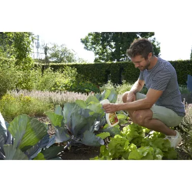 Evergreengarden_2020_Grundstoffe_4906_klein.jpg