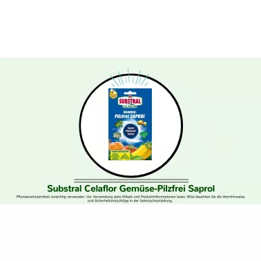Substral%20Celaflor%20Gem%C3%BCse-Pilzfrei%20Saprol.jpg