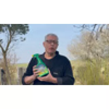 vignette-video-cochenilles%20express.jpg