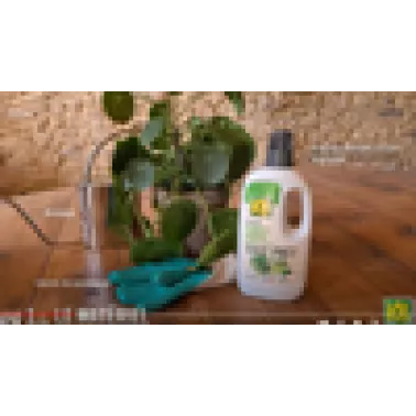 vignette-video-KBTPVN.png