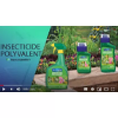 FR_Insecticidepolyvalent_VidPoster.jpg