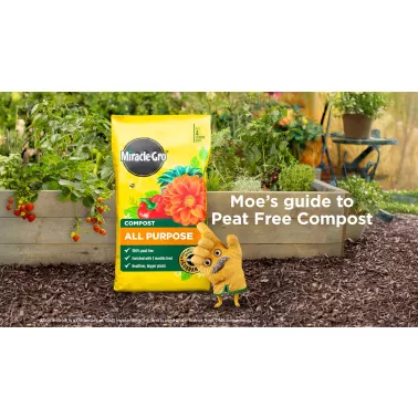 miracle-gro-all-purpose-compost-video-2026-poster.jpg