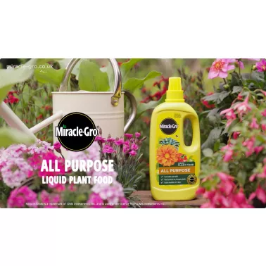 miracle-gro-all-purpose-concentrate-liquid-plant-food-video-2026-poster.jpg