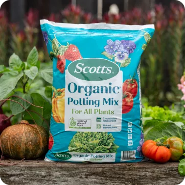 SCOTTS_ORGANICS_TILES_1800x1800_POTTING_LIFESTYLE_1.png