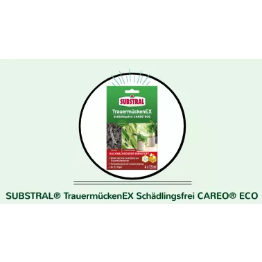 Screenshot 2025-12-12 091152.png