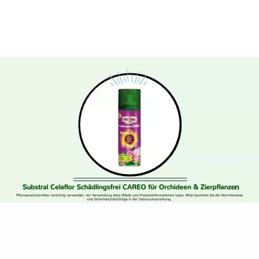 Substral Celaflor Schädlingsfrei Careo für Orhideen _ Zierpflanzen.jpg