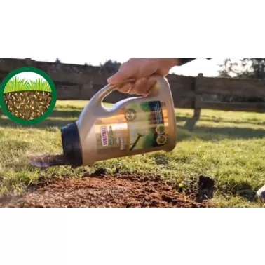 Substral Magisches Rasenpflaster.jpg