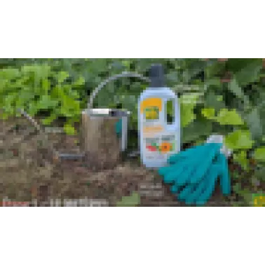 Vigentte vidéo KBTPUNIN.png