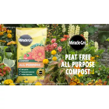 miracle-gro-all-purpose-compost-video-2026-poster.jpg