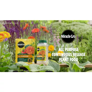 miracle-gro-all-purpose-continuous-release-plant-food-video-2026-poster.jpg