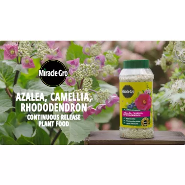 miracle-gro-azalea-camellia-rhododendron-continuous-release-video-2026-poster.jpg