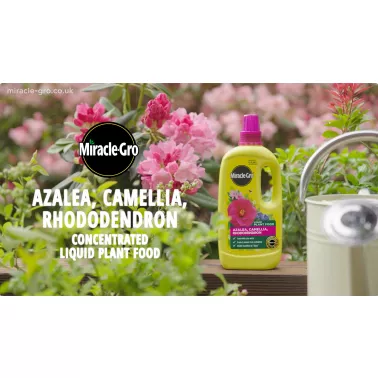 miracle-gro-azalea-camellia-rhododendron-liquid-plant-food-video-2026-poster.jpg