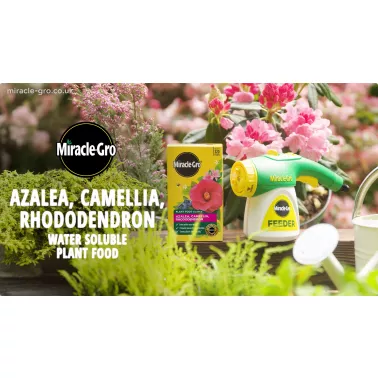 miracle-gro-azalea-camellia-rhododendron-soluble-plant-food-video-2026-poster.jpg