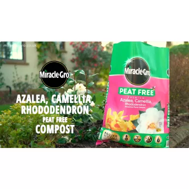 miracle-gro-peat-free-azalea-camellia-rhododendron-compost-video-2026-poster.jpg