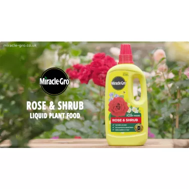 miracle-gro-rose-shrub-concentrated-liquid-plant-food-video-2026-poster.jpg