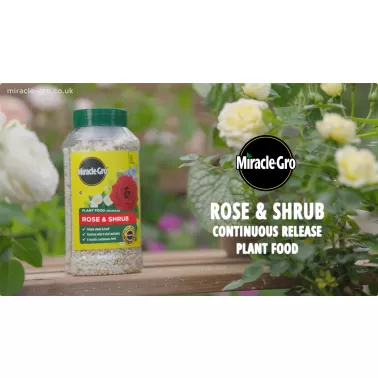 miracle-gro-rose-shrub-continuous-release-plant-food-video-2026-poster.jpg