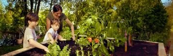 Mutter bepflanzt Hochbeet im Garten mit ihren Kindern