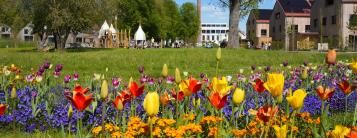 Landesgartenschau Wangen 2024