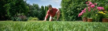Mann streicht über perfekten Rasen im Garten