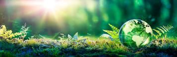 Grüne Welt auf Gras