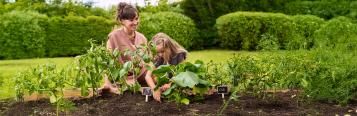 Mutter und Tochter arbeiten im Bodenbeet.