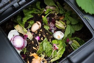 Composting at Home