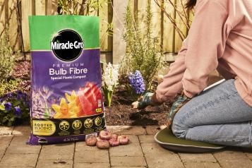 Bulb Fibre | Miracle Gro | Love The Garden