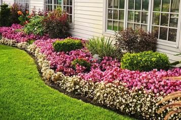 Comment avoir un beau jardin ?
