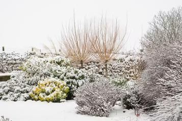 Comment entretenir son jardin en hiver