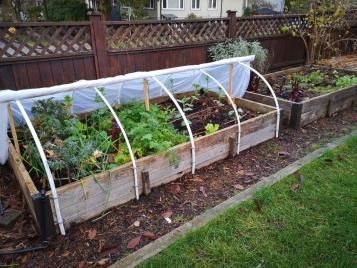 Le voile d'hivernage pour mon jardin