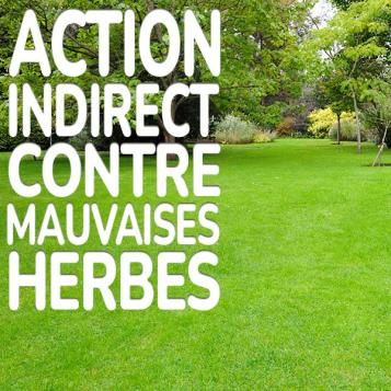 Substral Engrais Gazon All-In-One action indirecte contre mauvaises herbes