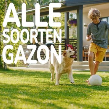 Substral Sport & Spel graszaad is geschikt voor elk gazon