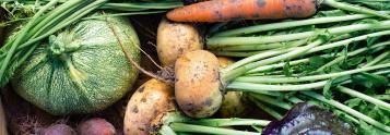 vegetables