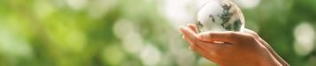 Developpement durable aus ein de l'entreprise