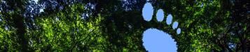 Evergreen Garden Care werkt mee aan een kleinere voetafdruk