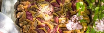 Astuces, conseils et inspiration pour une délicieuse cuisine avec des légumes et des fruits du potager