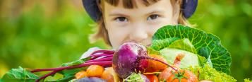 Tips, advies en inspiratie voor je moestuin