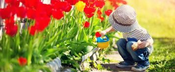 Entretien et soin du jardin