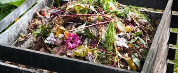 Tips en advies om te recycleren en te composteren in je tuin