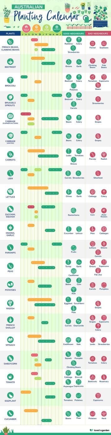 Australian Planting Calendar