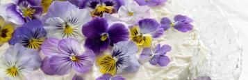 Edible Flower
