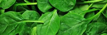 Image for Spinach