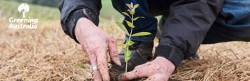 Greening Australia