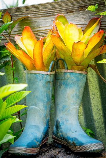 Upcycled Gumboot Planter