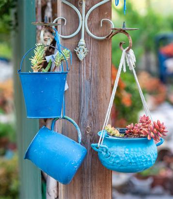 Upcycled Old Pot Planter