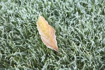 feeding-across-season-winter