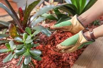 Tip to garden smarter
