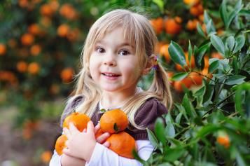 growing-maintaining-fruit-citrus-kid