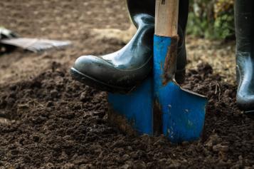 how-to-create-maintain-healthy-soil